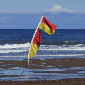 Beach flag